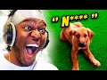 A Racist Dog? (Try Not To Laugh)