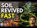 Dead Soil to Rich Soil in 30 Days  (The Secret Method Gardeners Aren’t Using)