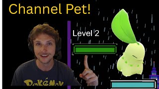 How to Create a Channel Stream Pet Using Streamer.bot and OBS
