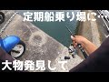 散歩してたらデカい魚見つけたから急いで竿とカニを持って走ってきた。