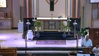 15TH Sunday In Ordinary Time