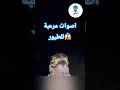أغرب اصوات الطيور التي ستصدمك علوم طيور حيوانات اكسبلور ترند معلومات