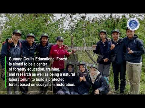 Libos ostidagi yoruglik doglari