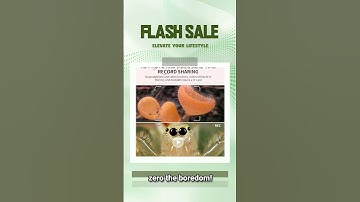 Microscope for Kids | Portable Handheld Magnifying Glass for Kids | Mini Digital Microscope for Kids