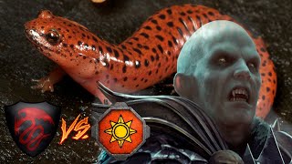 Mannfred's Bald Fury! Vampire Counts vs Lizardmen -  Total War Warhammer 3