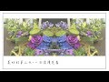 ‖幸福花香人文之旅 -上海遊學團‖