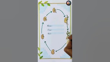 EVS project cover page drawing | #environmentalscience  #seedgermination #shorts