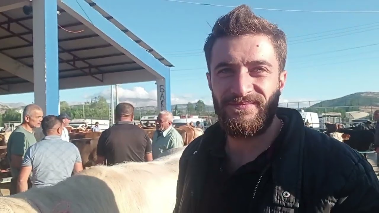 KAHRAMANMARAŞ GÖKSUN HAYVAN PAZARI 2 Temmuz 2024