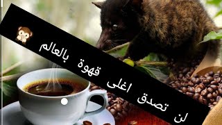 قهوة الزبّاد  Kopi luwak هي قهوة نادرة  لها طعم ورائحة مميزين لها وتُعد من أغلى القهوة بالعالم