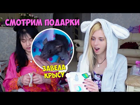 Да, это про подарки 🐭