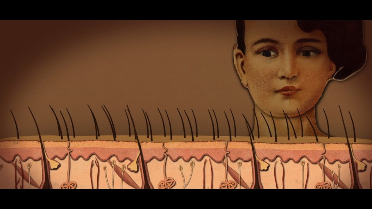 svenska som andraspråk Din kropp (Huden)