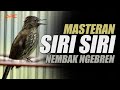 SIRI SIRI GACOR NEMBAK NGEBREN