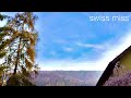 Swiss Miss (prod. @RollieRevenge ) OFFICIAL AUDIO