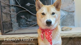 shiba inu handkerchief