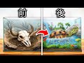 捨てられたカメの家を大改造してみた!