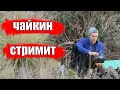 ЧАЙКИН  СТРИМИТ! ОТВЕЧАЮ НА ВОПРОСЫ!