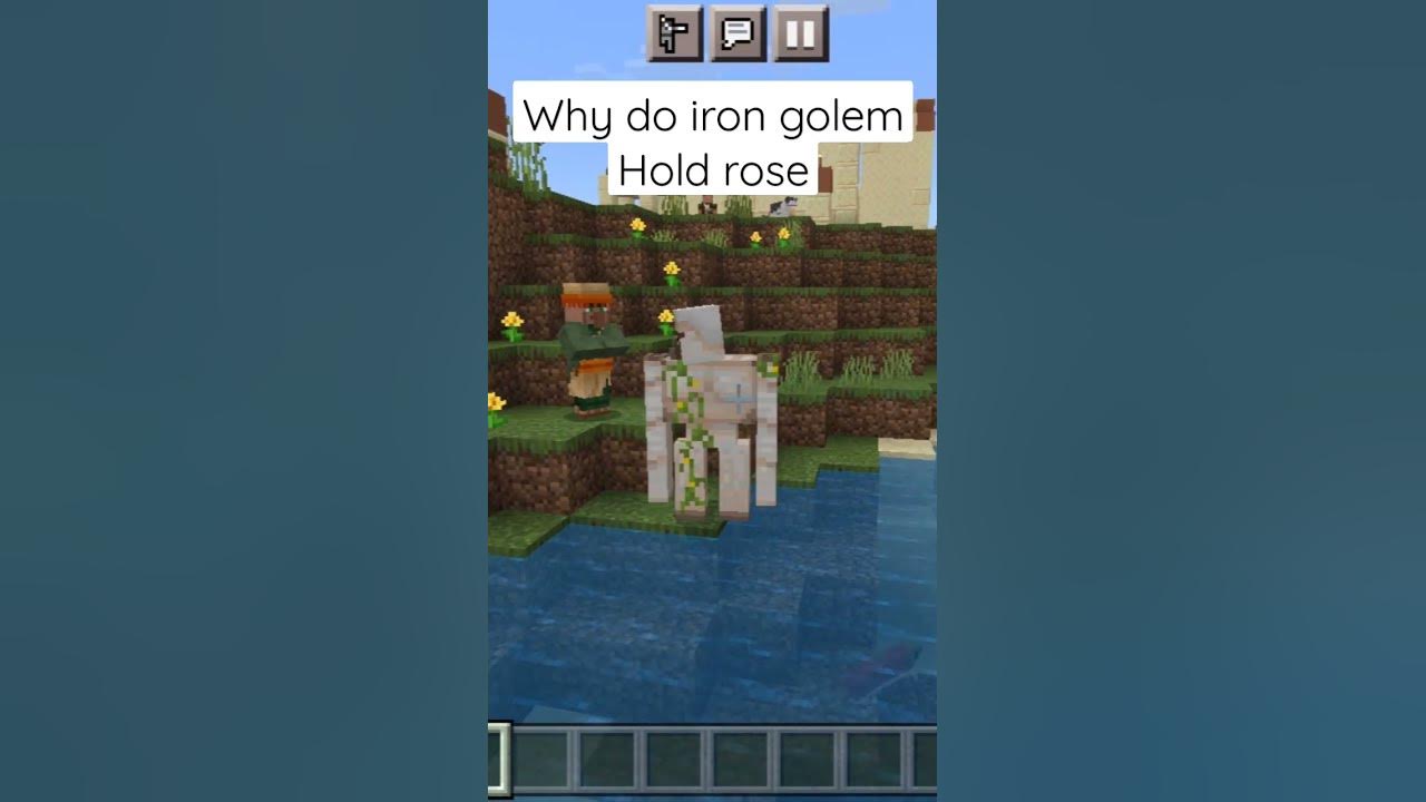 WHY IRON GOLEMS HOLD ROSE.... YouTube
