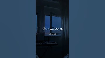 اكتب شيء تؤجر عليه ❤😴 القارئ عبدالرحمن مسعد