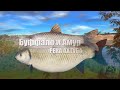 Русская Рыбалка 4 ► Russian Fishing 4 ► Река Ахтуба - Буффало и Амур