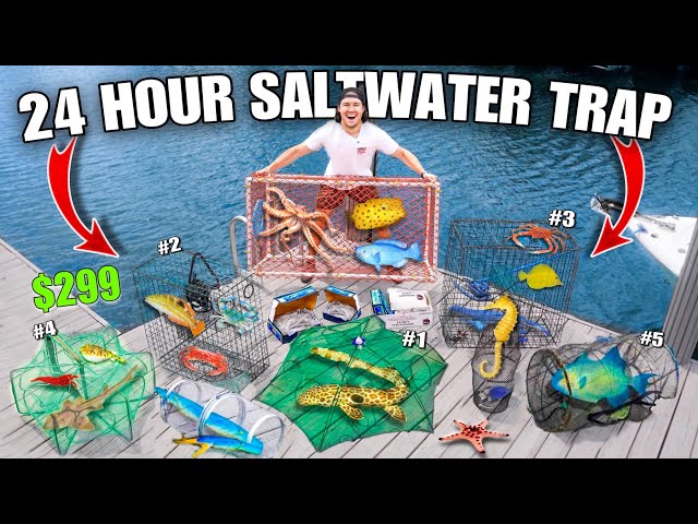 24 HOUR FISH TRAP CHALLENGE for SALTWATER POND!! class=