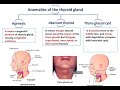 Development of Thyroid and Parathyroid Glands - Dr. Ahmed Farid