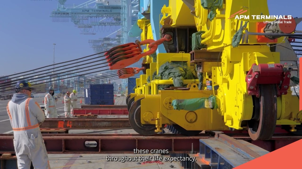 New cranes boost agility, flexibility and ability at APM Terminals Pier 400