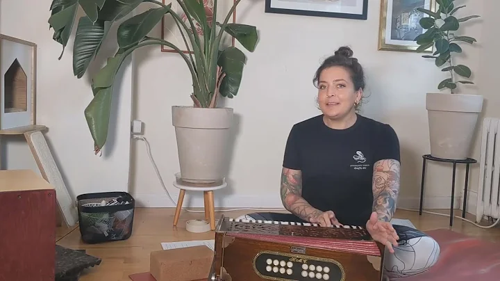 What kind of harmonium should I buy?