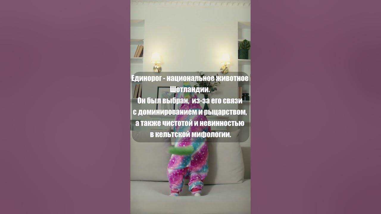 Единорог - национальное животное Шотландии #shorts - YouTube