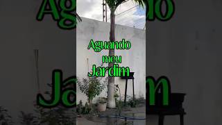 Aguando meu jardim #horta #vegetablegarden #plantas #plants #natureza #nature