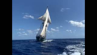 Ship, Shipmate, Self