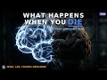 What Happens To Your Brain When You Die — The Science Nobody Explains