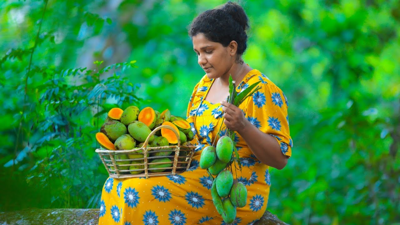 garden frsh mangoes,ripen super sweet yellow fruit.preserved and curry |village kitchen srilanka