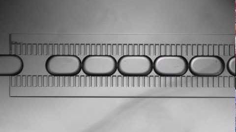 Droplet Microfluidics: Array formation