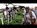 Holland Farmers Market