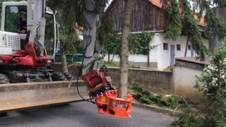 Westtech Woodcracker CL190 mit Takeuchi TB 175W Baumaschinen Puntigam GmbH (3)