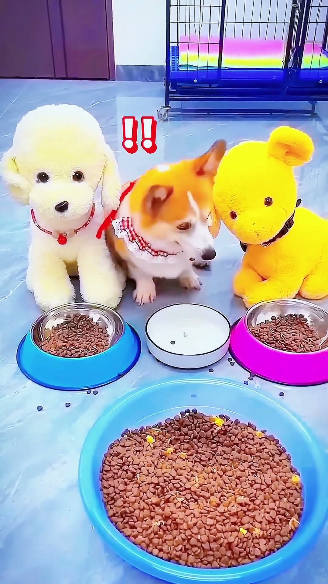 这只狗有自己的脾气 #路飞#海贼王