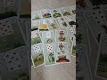Wochenlegung 15 bis 21 Juni