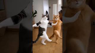 Cats Dancing AI Funny Video 😂 #cats #ai #funny funny cat shorts
