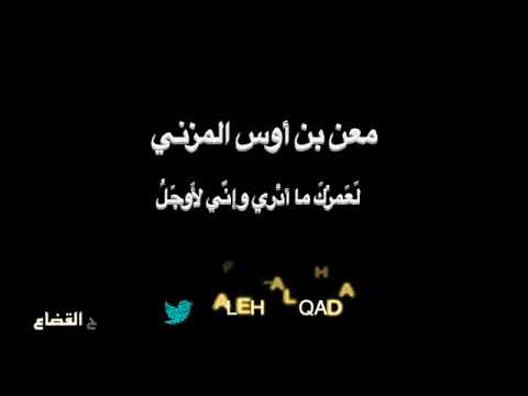 معن بن أوس ل ع مر ك ما أد ري بصوت فالح القضاع
