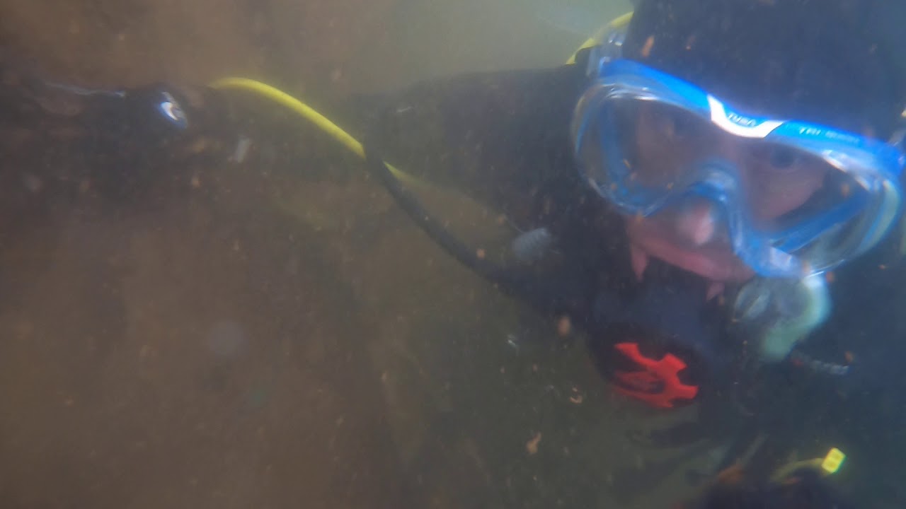 House Boat SCUBA Dive on Norris Lake, Tennessee YouTube