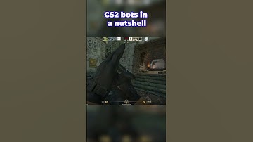CS2 bots in a nutshell #cs2 #gaming #shorts