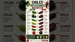 🌶️ ¡CAMBIAN DE NOMBRE AL SECARSE! 😱 7 Chiles Mexicanos que quizá no conocías