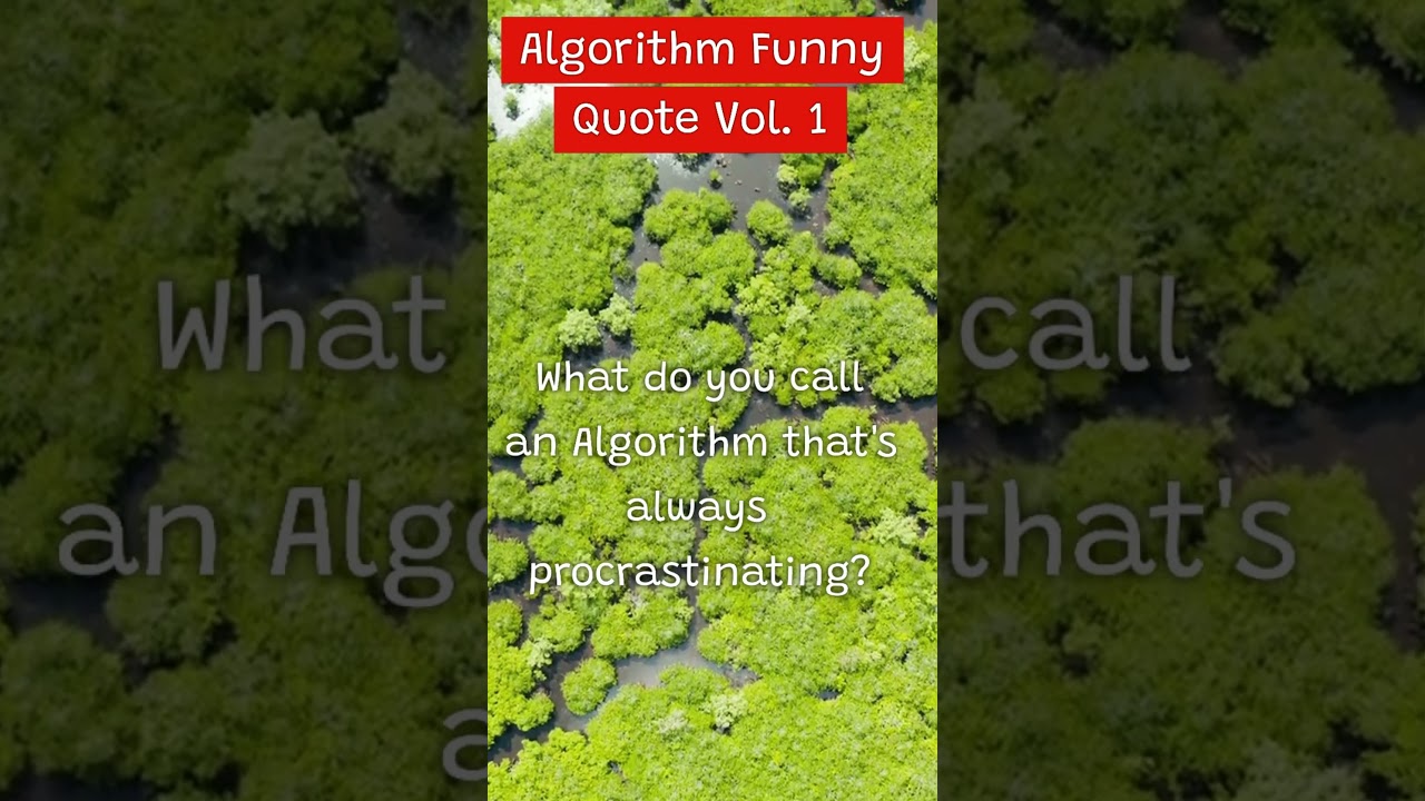Funny Algorithms Quotes & Jokes Vol. 1