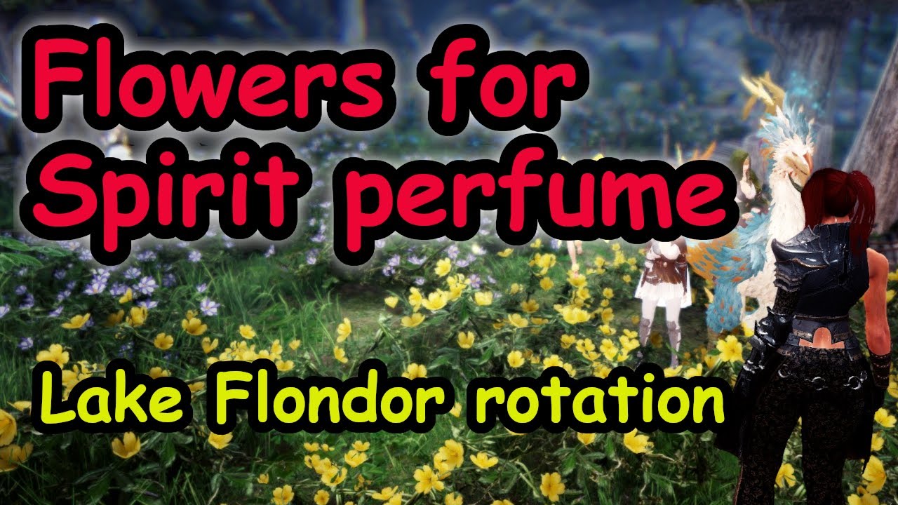Flower rotation at Lake Flondor YouTube