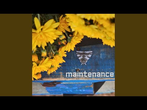 Maintenance - From Flowers