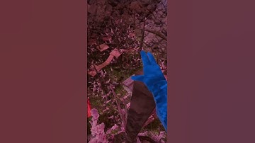 Falling through every map | Gorilla Tag #shorts #gorillatag #vr #trend