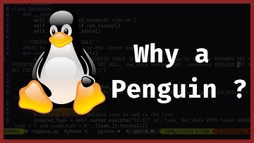 Linus Torvalds: Why Linux Mascot is a Penguin 🐧 ?