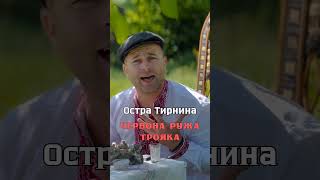 Остра Тирнина - Червона ружа трояка #singer #music