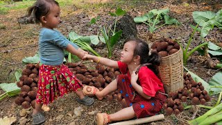 180 Days: Harvesting taro, Make table, Taiwanese berries, Cucumbers & Vegetable goes to market sell.