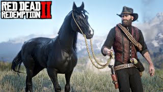 RED DEAD REDEMPTION 2 #28 | COMPRANDO UM NOVO CAVALO, ASSALTO A BANCO e O ATAQUE DAS ONÇAS!